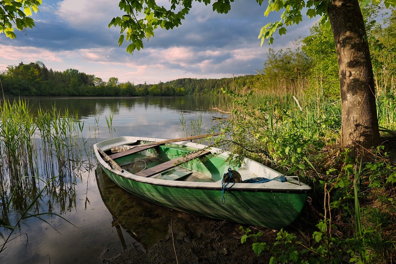 https://pixabay.com/users/6795508